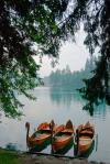 Bled lake revisited 2